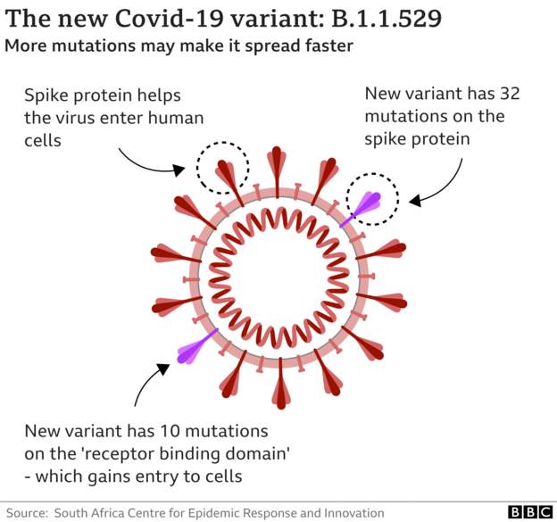 New Covid-19 variant B.1.1.529